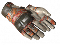 ★ Moto Gloves POW!